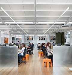 Web careers